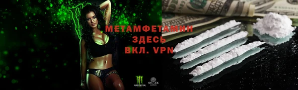 индика Карпинск