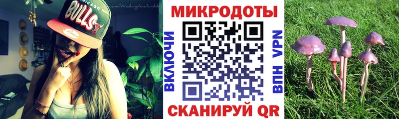 кракен как войти  Курильск  Галлюциногенные грибы прущие грибы 